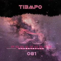 Frequency Underground | Episode 081 |Ti3mpo [techno]