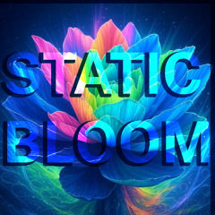 Static Bloom
