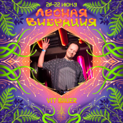 Forest vibration 2025