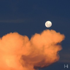 Moonlight (free download)
