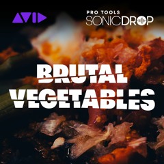 Pro Tools | Sonic Drop — Brutal Vegetables — Audio Sample
