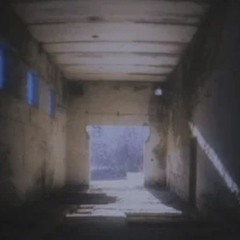 cries from the room next door