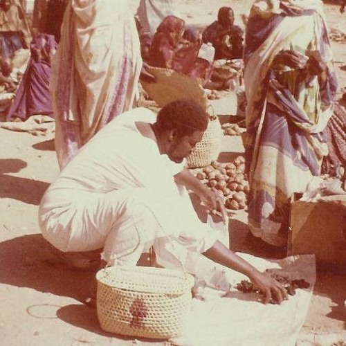 بت ملوك النيل | عبدالله ابراهيم أميقو