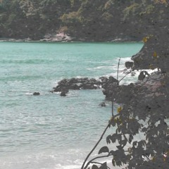 Evocacion Del Mar