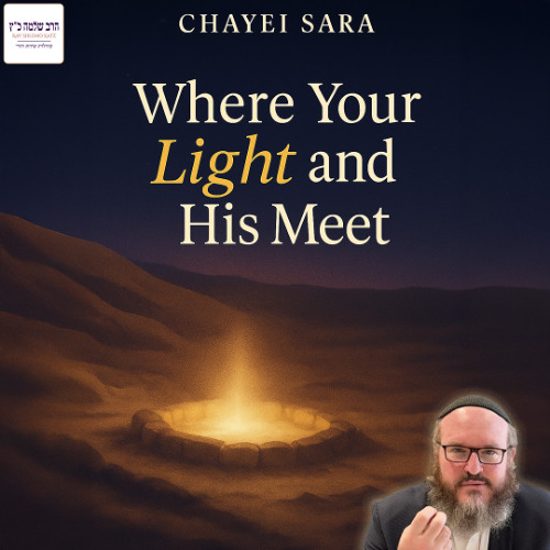Discovering That Which Is Special | Chayei Sara