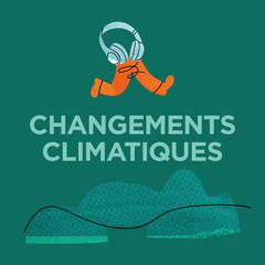 Changements climatiques : défis et solutions pour Sherbrooke
