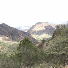 Hymn 41 (We are Never weary Singing our Eternal Song!) w/ ToHimbetheGlory