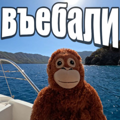 забыл вчера