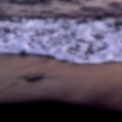 belmont girl - shipwrecked