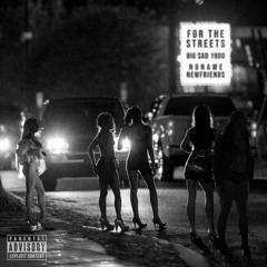 Big Sad 1900- For The Streets (feat. Sky Briganti)