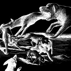 Dog Eat Dog prod bbyazul