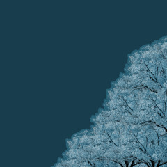 if i forget the color of your eyes would you remind me