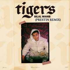 Bilal Wahib - Tigers (Prestin remix)