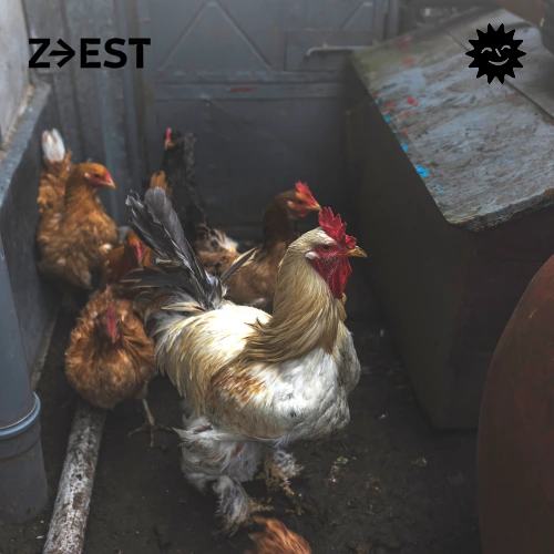 Analg3sia - Latinclub Soundcloud podcast image for