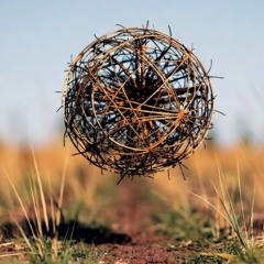 TUMBLEWEED