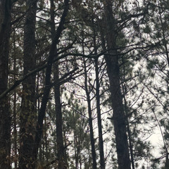 when your in outter space fly