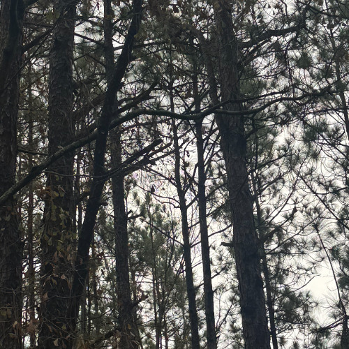 when your in outter space fly