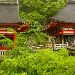 박혜경 - 동화 cover