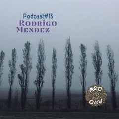 Rodrigo Méndez #13 (AroAroRecording)