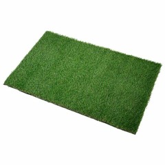 Artificial Grass