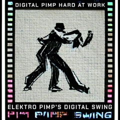 Digital Pimp Hard at Work - Elektro Pimp's Digital Swing [GRUTA]