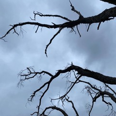 liminal