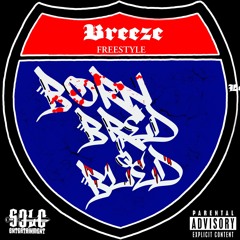 Breeze - 337 SWLA Born, Bred, & Bled