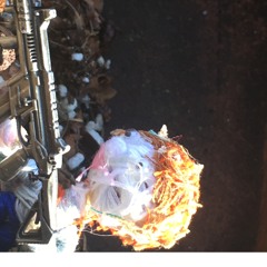 Fatal Force review March 15 thru January 24