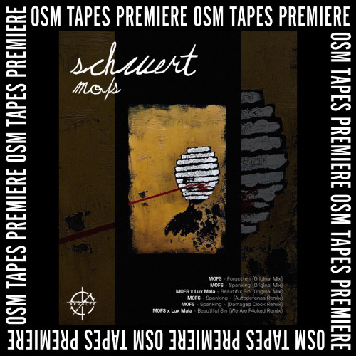 PREMIERE: MOFS - Spanking (Damaged Clock remix) [Revolte Records]