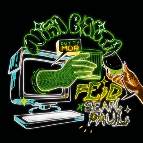 Niña Bonita - Feid (feat. SEAN PAUL) | Audio Oficial