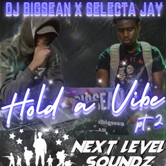 HOLD A VIBE PT2 FT SELECTA JAY
