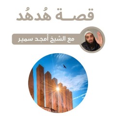 قصة هدهد - الشيخ أمجد سمير