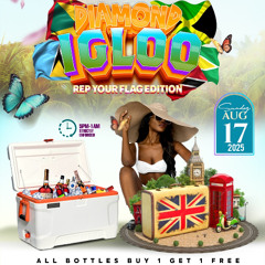 DIAMOND IGLOO [PROMO MIXTAPE] MIXED BY COPPERSHOT SOUND