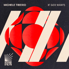 Michele TIberio - If God Wants [Sound D'Elite]