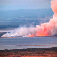 parihaka herbs / tim finn