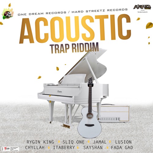 Acoustic Trap Riddim Instrumental Master
