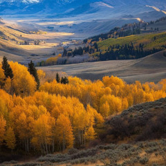 [언약궤를 매고 앞서는 이유]수3:1-8