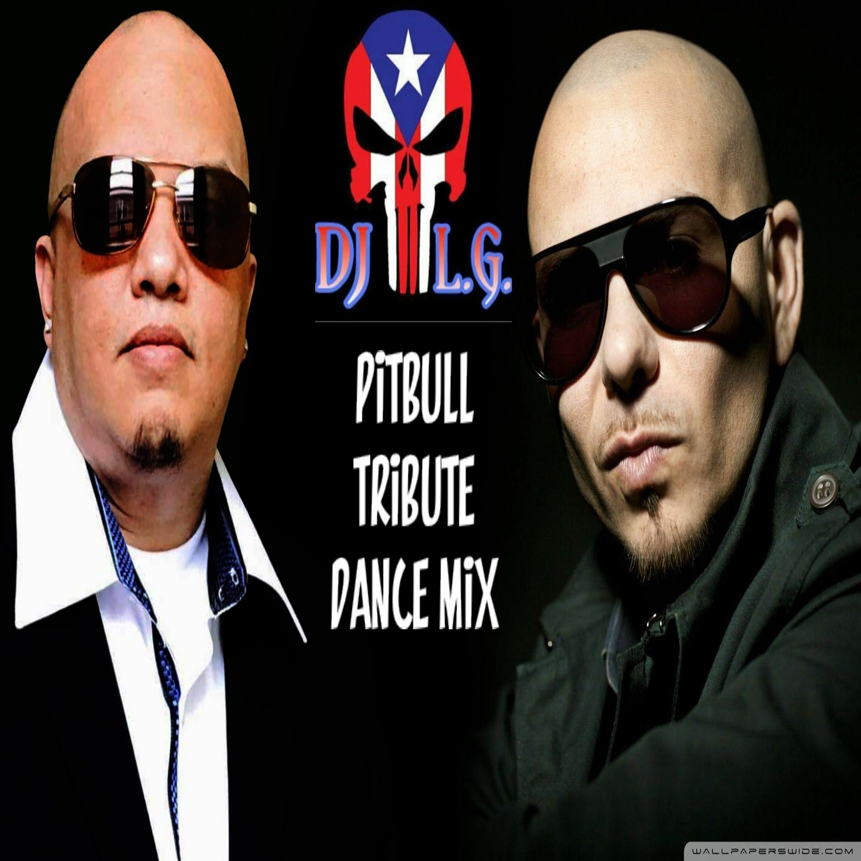DJ L.G PITBULL TRIBUTE DANCE MIX episode artwork