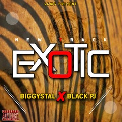 EXOTIC FT BLACK PJ