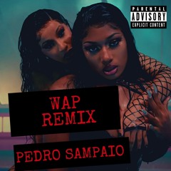 Cardi B - WAP Ft. Megan Thee Stallion (Pedro Sampaio Remix)