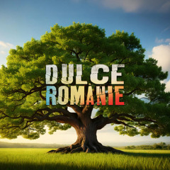 Dulce Românie feat. Nimeni Altu'