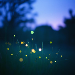Fading Glow (Radio edit) (EDM version)