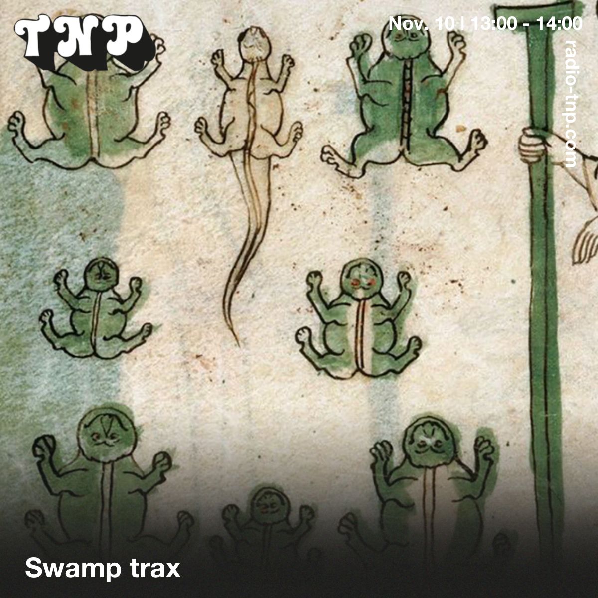 Swamp Trax