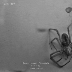 PREMIERE: Daniel Hokum – Tarantula (Original Mix) [ᴀᴋᴀsʜᴀ ᴍx]