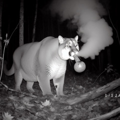 { Lo-Fi Beat } •Dj LazyLeg•