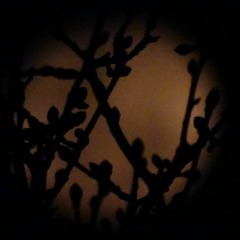 Algo Que Me Guarde - SabriK