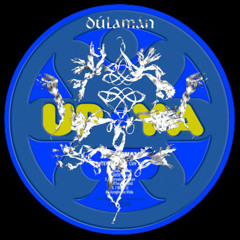 Dúlamán x 50_50 Vision (Irish Trad remix Jungle)