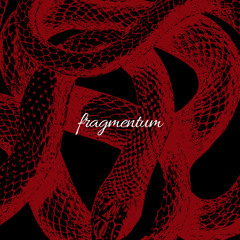 [D]fragmentum