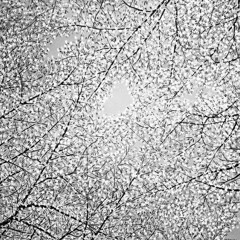 Dominic Hernández - Diplomacia coercitiva