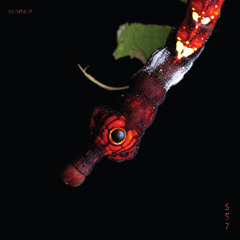 OECUS Premiere | Guadalupe González - Llorando Cristales [SS7.016EP]